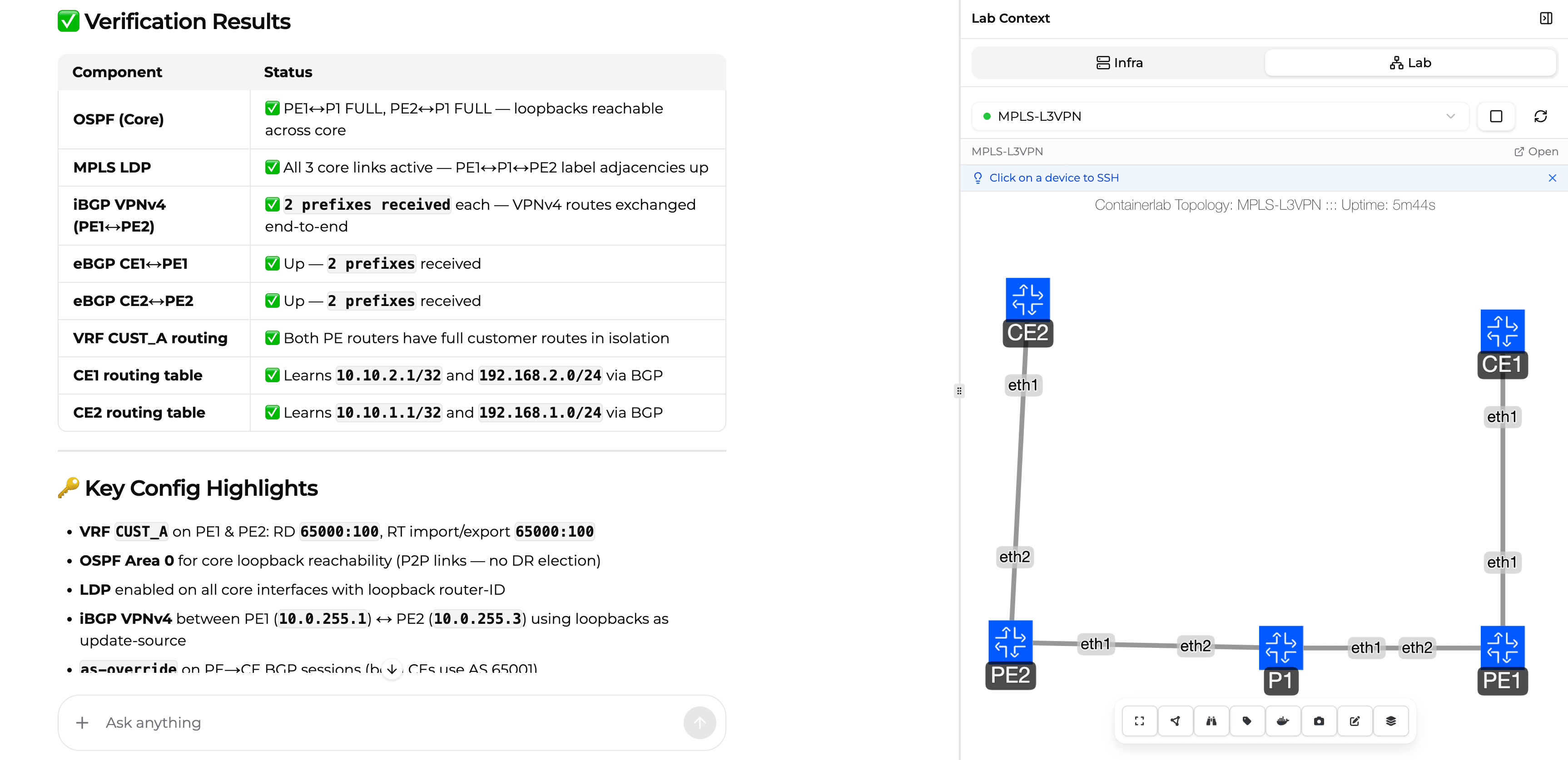 NetPilot verification results showing all-green checks for OSPF, MPLS LDP, iBGP VPNv4, eBGP sessions, and end-to-end routing validation